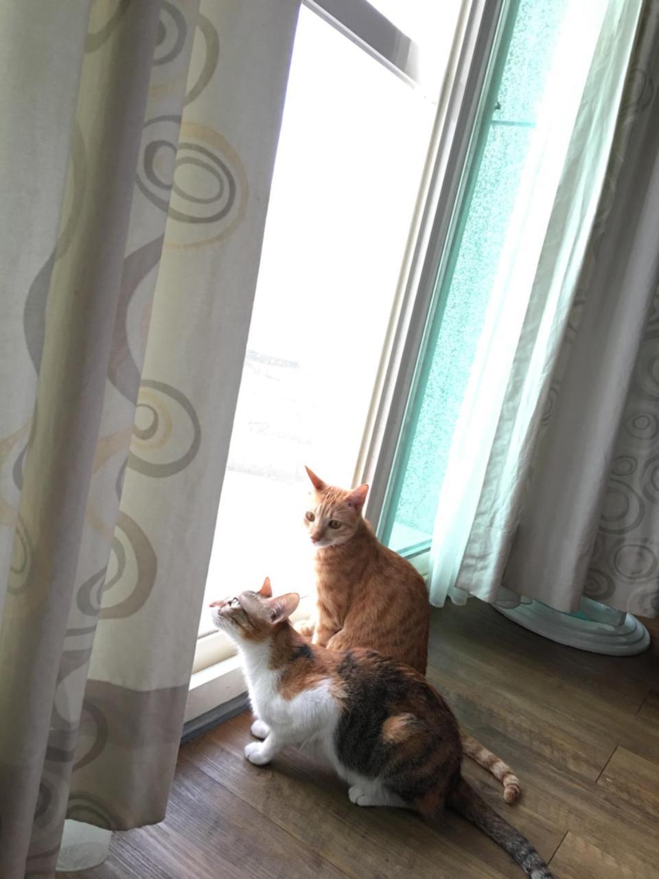 Beauty Home Homestay 화롄 외부 사진